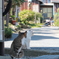 「猫の手も」「貸しますぞ？」
