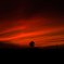 　新篠津村　夕焼け