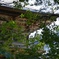 寺の緑