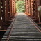 鉄橋