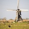 photo_2829994