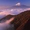 雲海の輝き