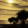 Landscape golden