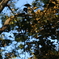 photo_2832312