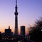skyｔree