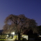 中塩のしだれ桜と北斗