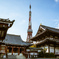 Tokyo,Japan