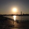 豊洲　夕陽