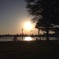 豊洲公園　夕陽