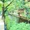 先斗町