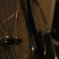 shimano600