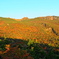 安達太良山　紅葉