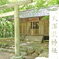 夏の神社