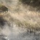 斜光　降り注ぐ朝に