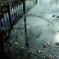 台風一過