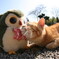 フクロウくん美味しそうやな！