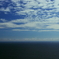 熱海城から