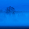 　蒼 霧　〜其の二〜
