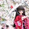 枝垂れ桜と着物