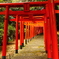 名島 豊川稲荷神社①