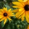 photo_2853