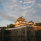 岸和田城