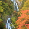 名爆と紅葉