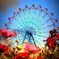 daydream