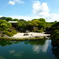 庭園