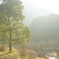 photo_2860848