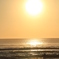 photo_2861583