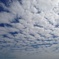 羊雲