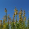 DSC01678
