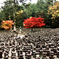 引接寺(いんじょうじ)石塔・石仏