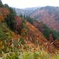 DSCF0525