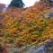 DSCF0527