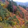 DSCF0529