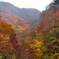 DSCF0534