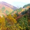 DSCF0544