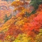 DSCF0549