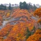 DSCF0550
