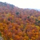 DSCF0553