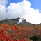 噴煙と雲