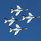 2009　入間航空祭　ファンブレイク