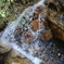DSC00826