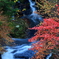 日光竜頭の滝の紅葉　2013