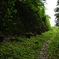 隠れ道