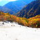 山頂の砂浜と紅葉
