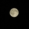 今夜の月です♪