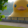 巨大アヒルｗ